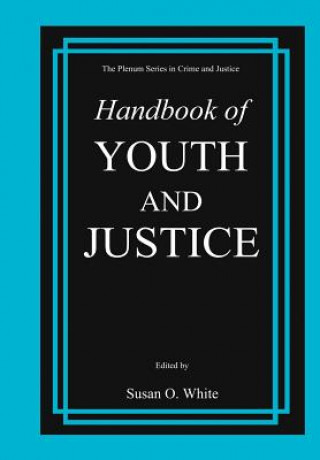 Knjiga Handbook of Youth and Justice Susan O. White