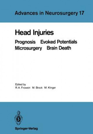 Kniha Head Injuries Mario Brock