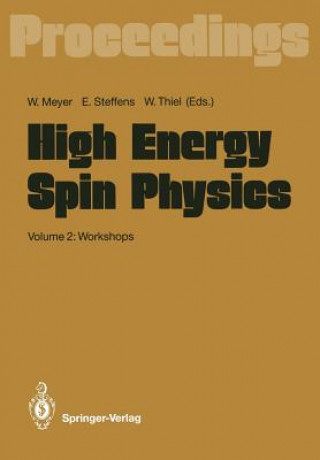 Kniha High Energy Spin Physics Werner Meyer