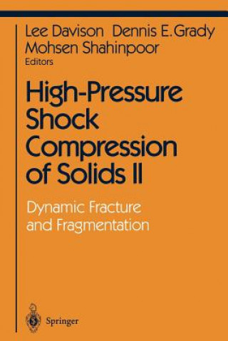 Книга High-Pressure Shock Compression of Solids II Lee Davison