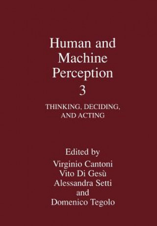 Könyv Human and Machine Perception 3 Virginio Cantoni
