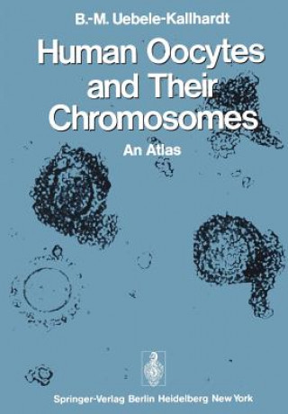 Kniha Human Oocytes and Their Chromosomes Berta-Margareta Uebele-Kallhardt