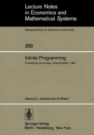 Kniha Infinite Programming Edward J. Anderson