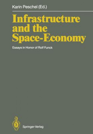 Buch Infrastructure and the Space-Economy Karin Peschel