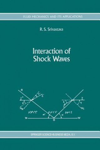 Könyv Interaction of Shock Waves R.S. Srivastava