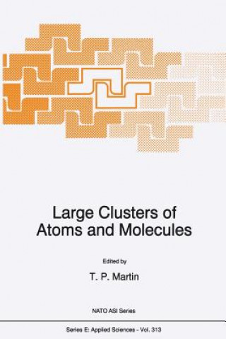 Kniha Large Clusters of Atoms and Molecules T. P. Martin