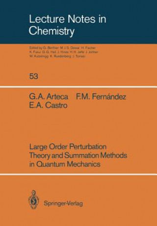 Carte Large Order Perturbation Theory and Summation Methods in Quantum Mechanics E. A. Castro