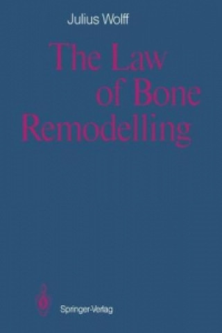 Buch Law of Bone Remodelling Julius Wolff