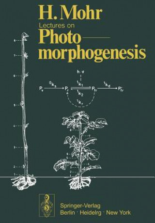 Buch Lectures on Photomorphogenesis Hans Mohr