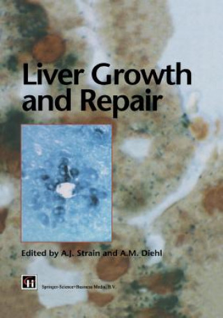 Carte Liver Growth and Repair A. M. Diehl