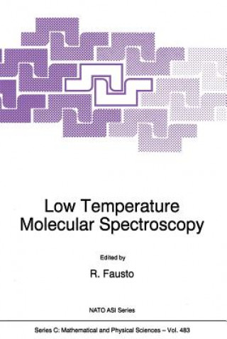 Könyv Low Temperature Molecular Spectroscopy Rui Fausto