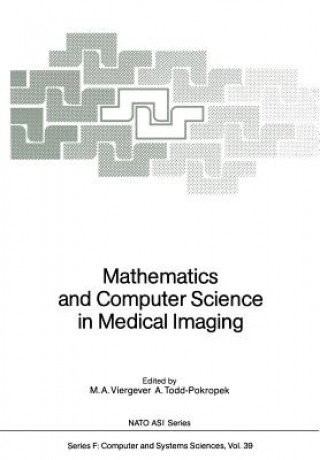 Kniha Mathematics and Computer Science in Medical Imaging Andrew Todd-Pokropek