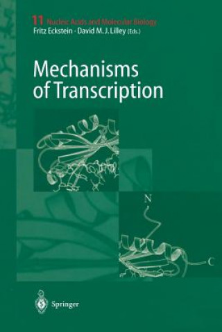 Книга Mechanisms of Transcription Fritz Eckstein