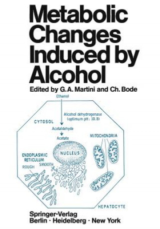 Kniha Metabolic Changes Induced by Alcohol C. Bode