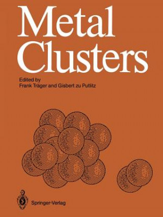 Buch Metal Clusters Gisbert Zu Putlitz