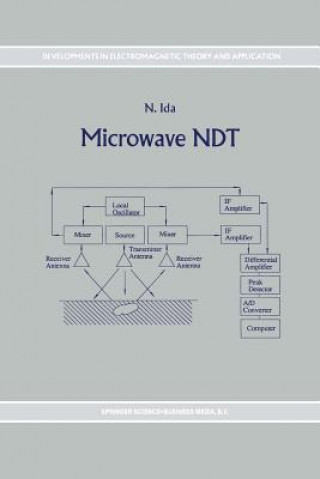 Kniha Microwave NDT Nathan Ida