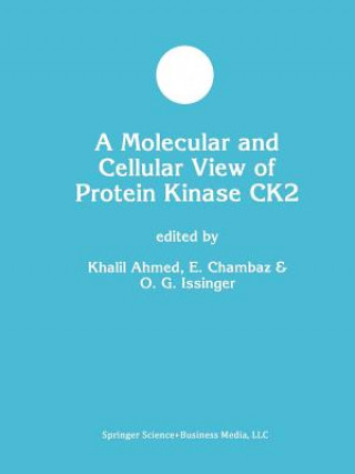 Książka Molecular and Cellular View of Protein Kinase CK2 Khalil Ahmed