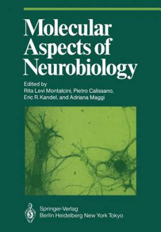 Kniha Molecular Aspects of Neurobiology Pietro Calissano