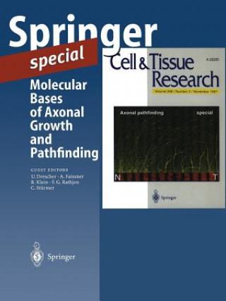 Könyv Molecular Bases of Axonal Growth and Pathfinding 