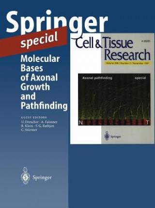 Книга Molecular Bases of Axonal Growth and Pathfinding 