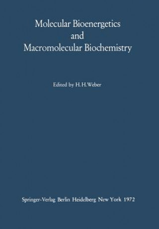 Könyv Molecular Bioenergetics and Macromolecular Biochemistry Hans H. Weber