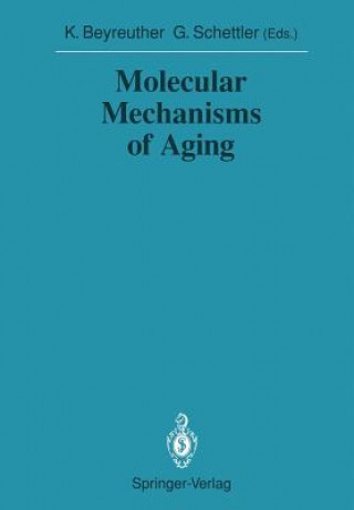 Kniha Molecular Mechanisms of Aging Konrad Beyreuther