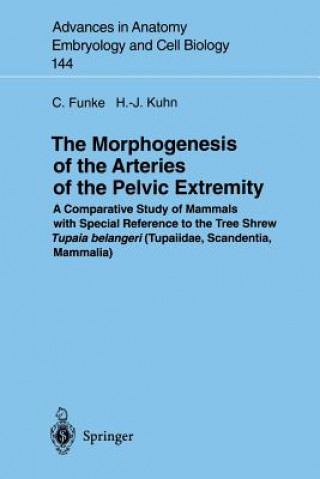 Könyv Morphogenesis of the Arteries of the Pelvic Extremity Hans-Jorg Kuhn