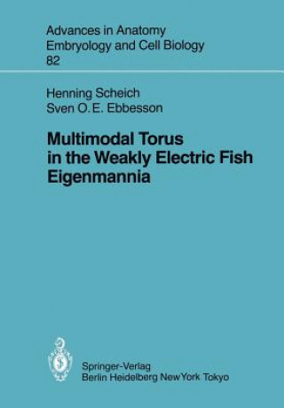 Könyv Multimodal Torus in the Weakly Electric Fish Eigenmannia Sven O.E. Ebbesson