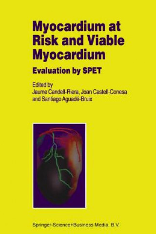 Könyv Myocardium at Risk and Viable Myocardium Santiago Aguandé-Bruix