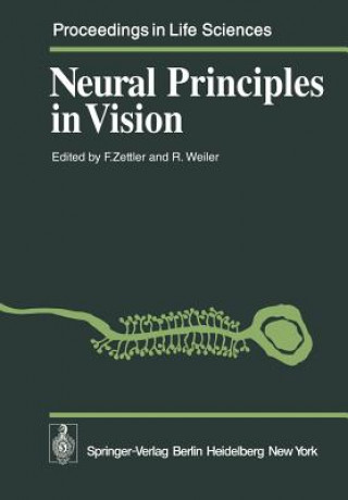 Książka Neural Principles in Vision R. Weiler