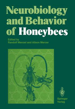 Buch Neurobiology and Behavior of Honeybees Randolf Menzel