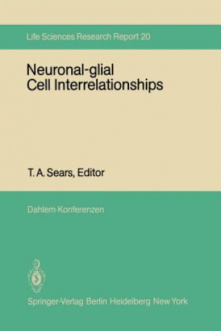 Könyv Neuronal-glial Cell Interrelationships T. A. Sears