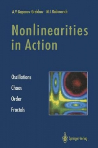 Książka Nonlinearities in Action M. I. Rabinovich