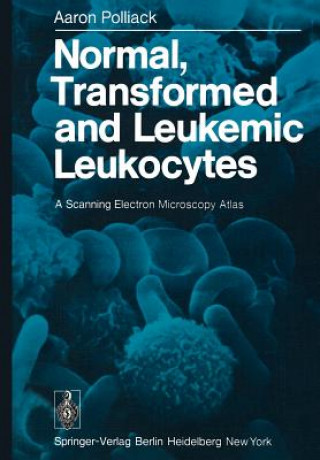 Könyv Normal, Transformed and Leukemic Leukocytes Aaron Polliack