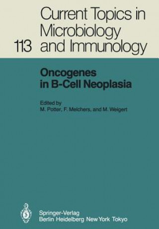 Könyv Oncogenes in B-Cell Neoplasia F. Melchers
