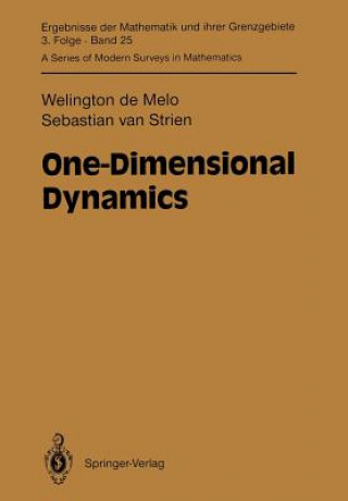 Könyv One-Dimensional Dynamics Sebastian Van Strien