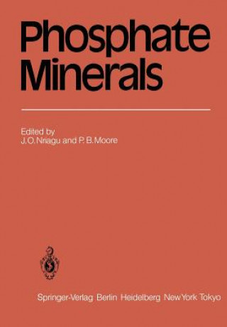 Knjiga Phosphate Minerals P. H. Moore