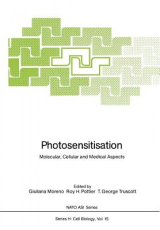 Kniha Photosensitisation Giuliana Moreno