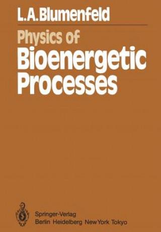 Kniha Physics of Bioenergetic Processes L.A. Blumenfeld