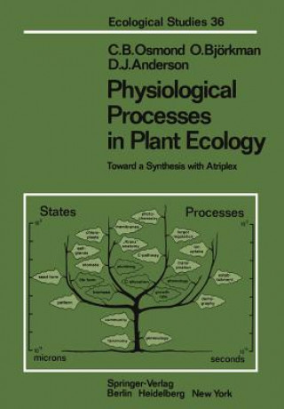 Kniha Physiological Processes in Plant Ecology D.J. Anderson