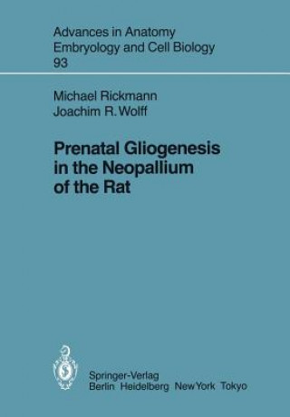 Livre Prenatal Gliogenesis in the Neopallium of the Rat Joachim R. Wolff