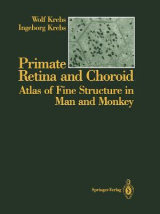 Βιβλίο Primate Retina and Choroid Ingeborg Krebs