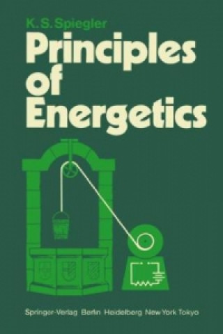 Kniha Principles of Energetics M. Gross