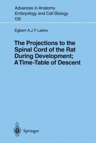 Kniha Projections to the Spinal Cord of the Rat During Development: A Timetable of Descent Egbert A.J.F. Lakke