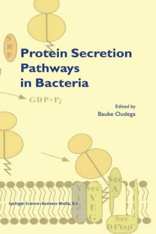 Book Protein Secretion Pathways in Bacteria B. Oudega