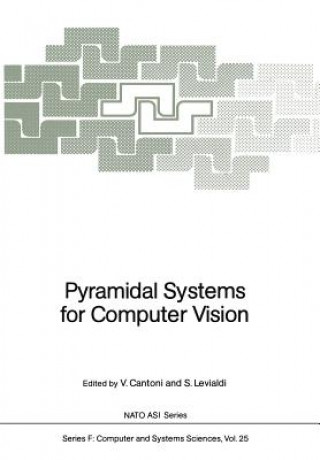 Book Pyramidal Systems for Computer Vision Virginio Cantoni
