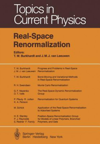 Knjiga Real-Space Renormalization T. W. Burkhardt