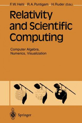 Kniha Relativity and Scientific Computing Friedrich W Hehl