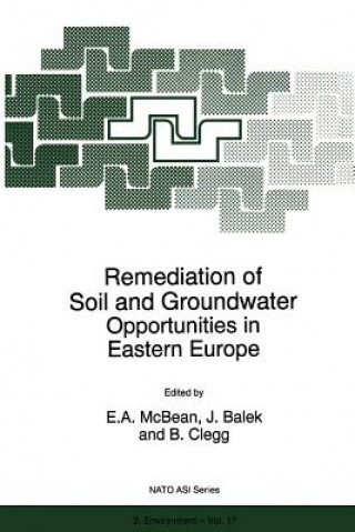 Könyv Remediation of Soil and Groundwater J. Balek