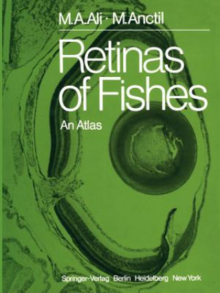 Könyv Retinas of Fishes Michel Anctil